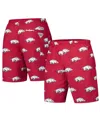 Columbia Cardinal Arkansas Razorbacks Pfg Backcast™ Iii Omni-shade™ Shorts In Purple