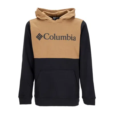 Columbia Men's Hoodie Trek Colorblock Hoodie Black/delta