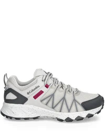 Columbia Peakfreak™ Ii Outdry™ Mesh-panelled Sneakers In Gray