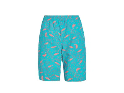 Columbia Pfg Super Backcast Ii Shorts (little Kid/big Kid) Boy's Shorts Ocean Teal/paisled Vacation : Xl (18- In Blue