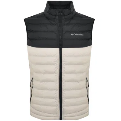 Columbia Pike Lake Ii Gilet Beige In Gray