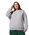 Columbia Plus Size Aldermore Crewneck Sweatshirt In Gray
