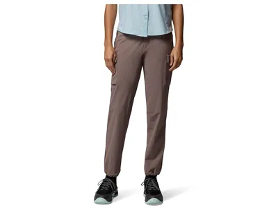 Columbia Silver Ridge Elite Pants In Blue