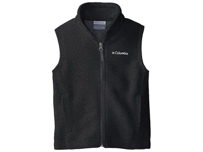 Columbia Steens Mountaintm Fleece Vest (little Kids/big Kids) Boy's Vest Charcoal Heather : Md (10-12 Big Kid In Black