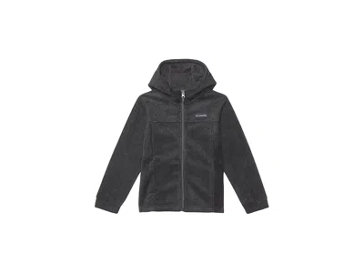 Columbia Steenstm Ii Fleece Hoodie (little Kids/big Kids) Boy's Coat Charcoal Heather : Lg (14-16 Big Kids),  In Black