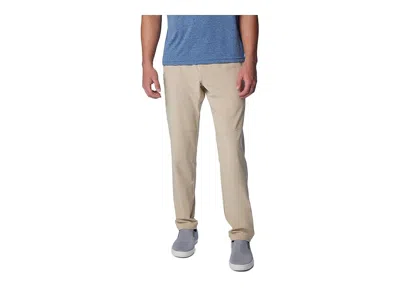 Columbia Terminal Roamertm Stretch Pants In Brown