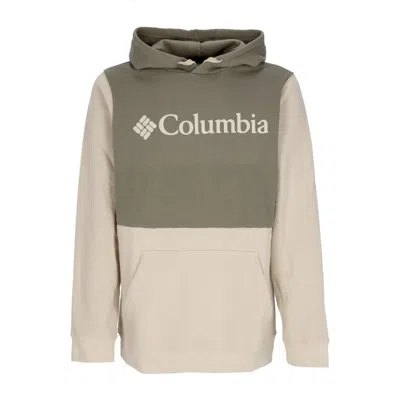 Columbia Trek Colorblock Hoodie Ancient Fossil Men's Hoodie In Multi