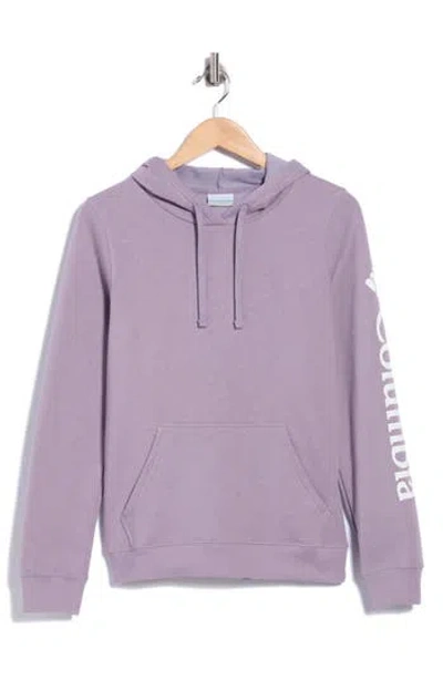 Columbia Trek Graphic Hoodie In Purple