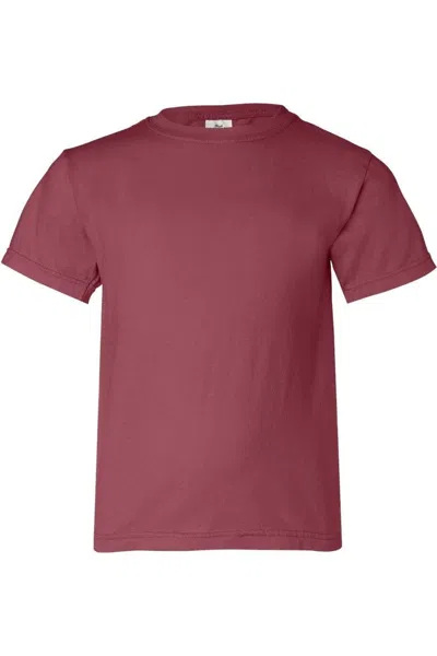 Comfort Colors Kids' Garment-dyed Youth Heavyweight T-shirt In Brown
