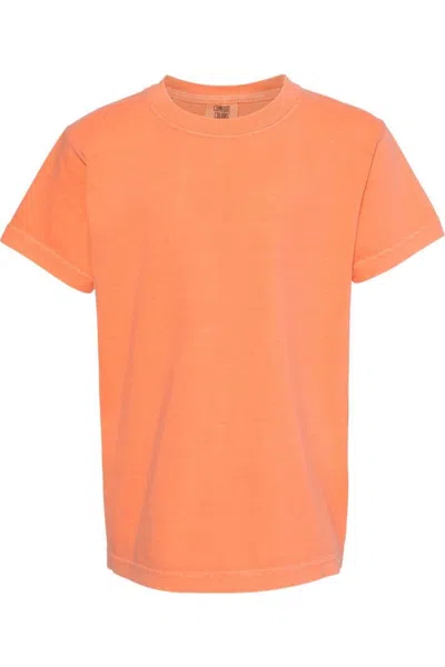 Comfort Colors Kids' Garment-dyed Youth Heavyweight T-shirt In Neutral
