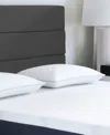 Comfort Tech Tranquility Foam Pillow, Standard