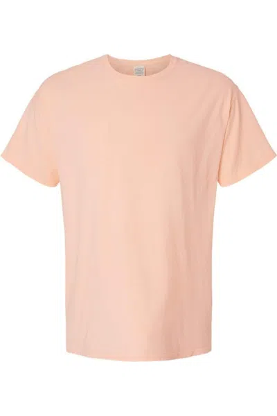 Comfortwash By Hanes Botanical Dyed T-shirt In Multi