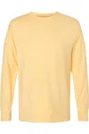 Comfortwash By Hanes Garment-dyed Long Sleeve T-shirt In Multi