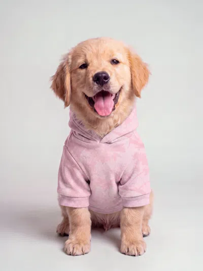 Comfrt Camo Paw Hoodie In Pink