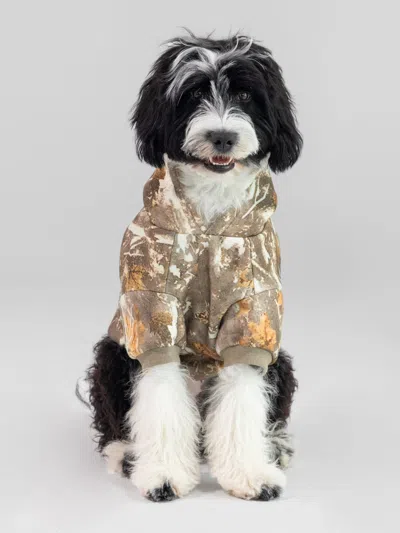 Comfrt Camo Paw Hoodie In Multi