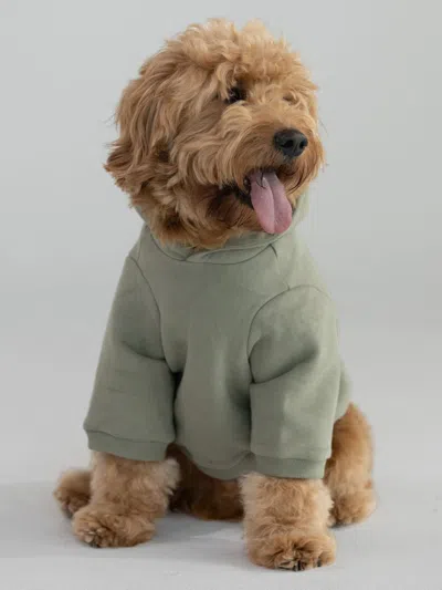 Comfrt Coordinate Paw Hoodie In Green