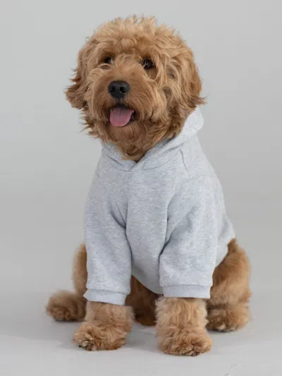 Comfrt Coordinate Paw Hoodie In White