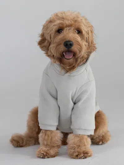 Comfrt Coordinate Paw Hoodie In White