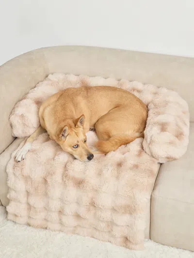 Comfrt Dream Cloud Pet Sofa Bed In Brown