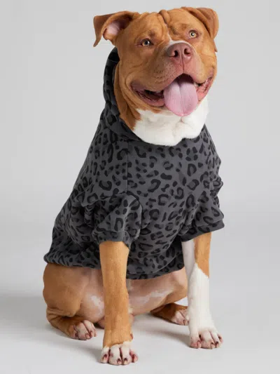 Comfrt Minimalist Paw Hoodie In Black