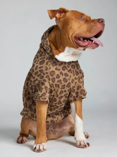 Comfrt Minimalist Paw Hoodie In Brown