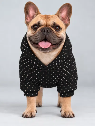 Comfrt Minimalist Paw Hoodie In Onyx Black,ivory Dots
