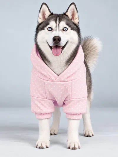 Comfrt Minimalist Paw Hoodie In Powder Pink,white Dots