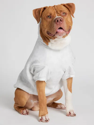 Comfrt Minimalist Paw Hoodie In White