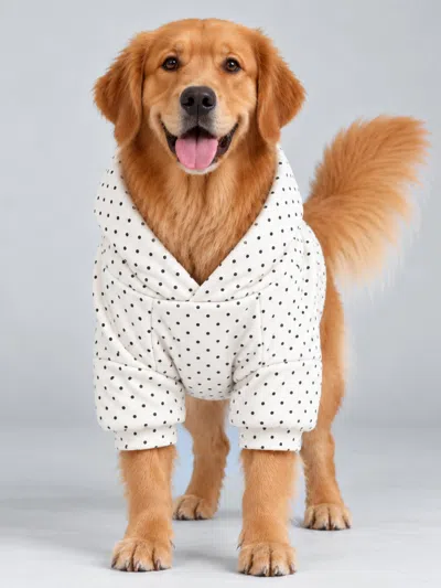 Comfrt Minimalist Paw Hoodie In White,black Dots