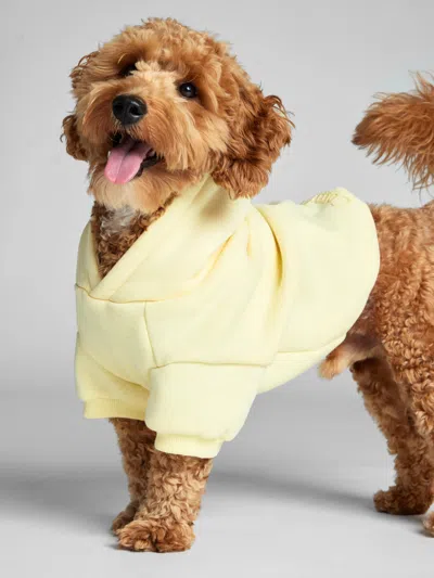 Comfrt Minimalist Paw Hoodie In Yellow