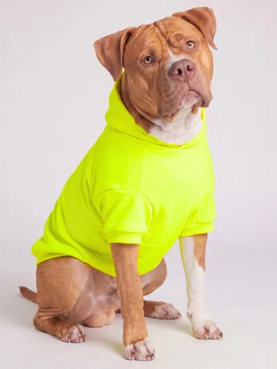 Comfrt Neon Minimalist Paw Hoodie In Yellow
