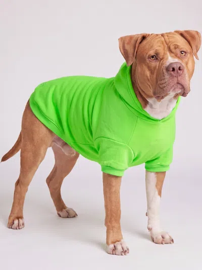 Comfrt Neon Minimalist Paw Hoodie In Green