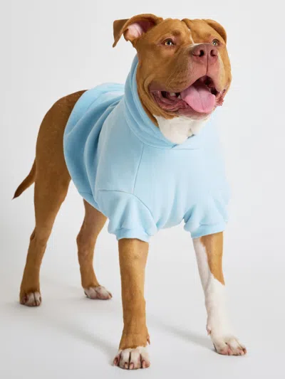 Comfrt Pastel Paw Hoodie In Blue