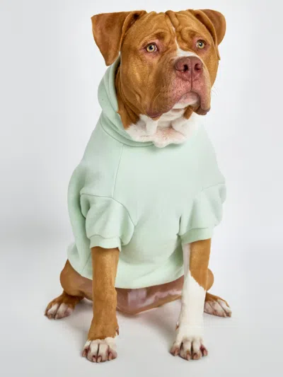 Comfrt Pastel Paw Hoodie In Green