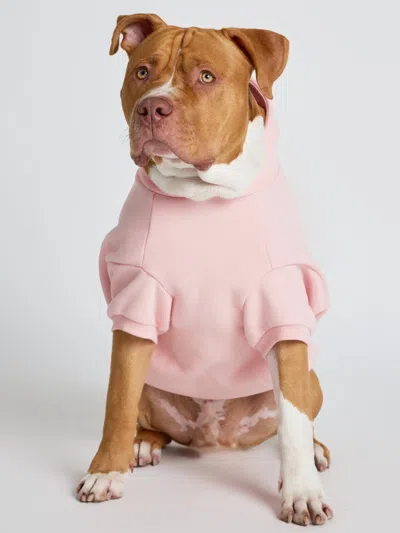 Comfrt Pastel Paw Hoodie In Pink