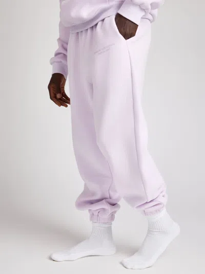 Comfrt Pastel Sweatpants In Purple