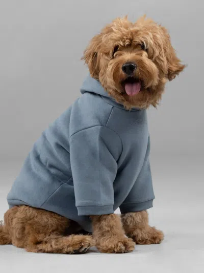 Comfrt Signature Paw Hoodie In Blue