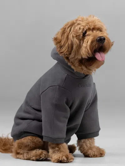 Comfrt Signature Paw Hoodie In Gray