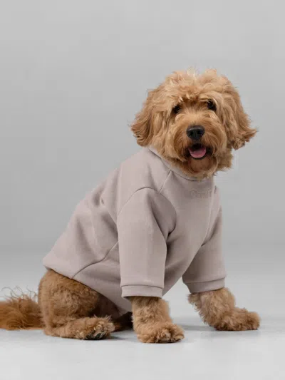 Comfrt Signature Paw Hoodie In Neutral