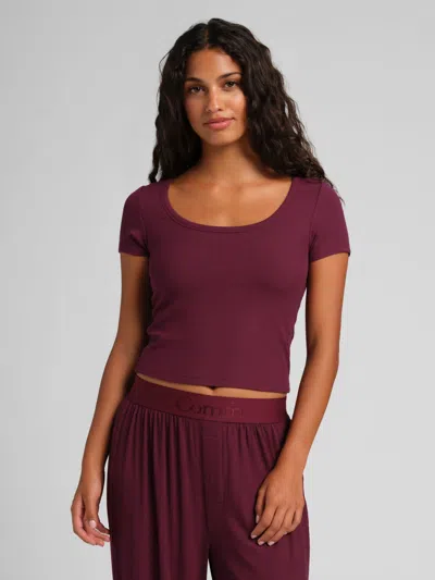 Comfrt Slinky Rib Baby Tee In Purple