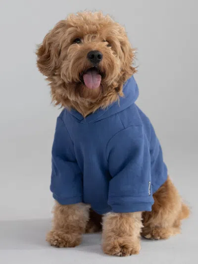 Comfrt Standard Paw Hoodie In Blue