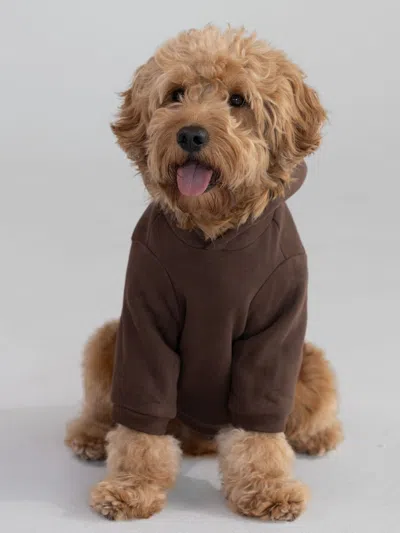 Comfrt Standard Paw Hoodie In Brown