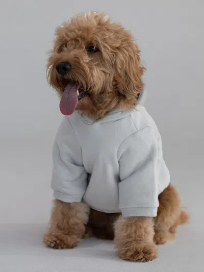 Comfrt Standard Paw Hoodie In Gray