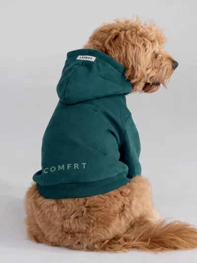 Comfrt Tranquil Paw Hoodie In Green