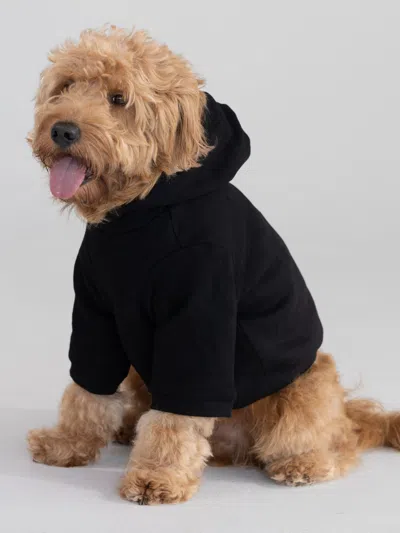 Comfrt Tranquil Paw Hoodie In Black