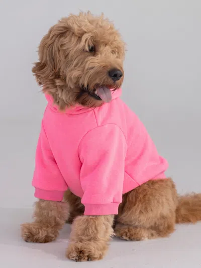 Comfrt Tranquil Paw Hoodie In Pink