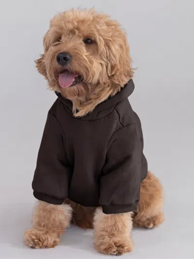 Comfrt Tranquil Paw Hoodie In Gray