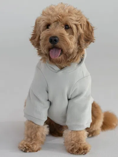 Comfrt Tranquil Paw Hoodie In Gray
