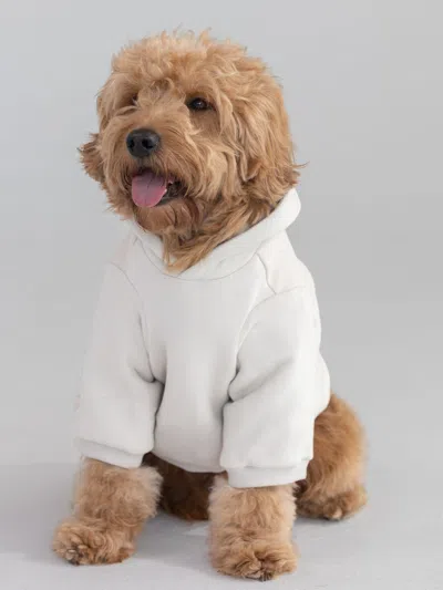 Comfrt Tranquil Paw Hoodie In White