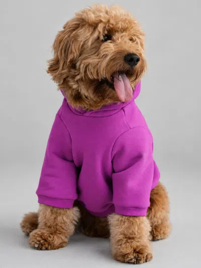 Comfrt Vip Exclusive Tranquil Paw Hoodie In Purple